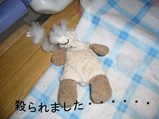 2/23 5