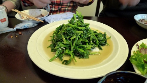 豆苗