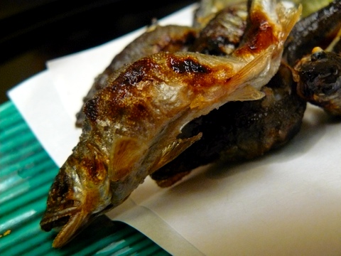 稚鮎