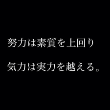 きりょく