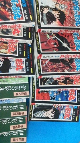 いがのかげまる
