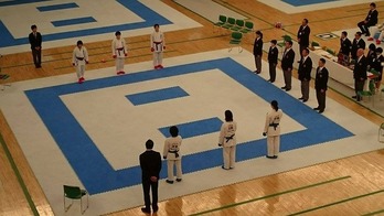 からてH28.11.う
