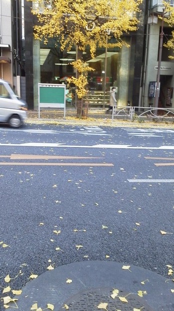 かれは