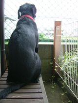 1a21389c.JPG