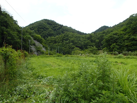 P6111557