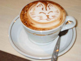cappuccino-gatto