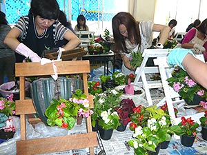 文化部「ハンギングバスケット」