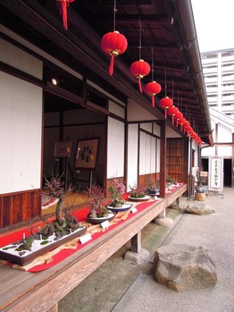 DSCN2331