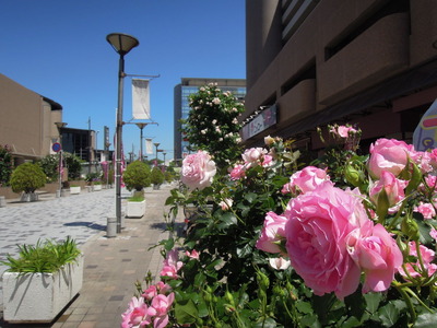DSCN0667