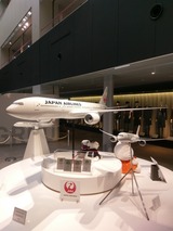 IMAG0662