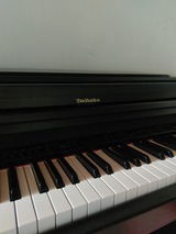 IMAG0716