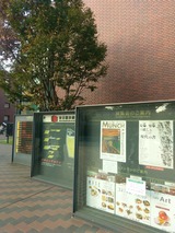 IMAG0712