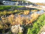 小河