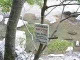 アユ