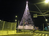 クリスマスツリー