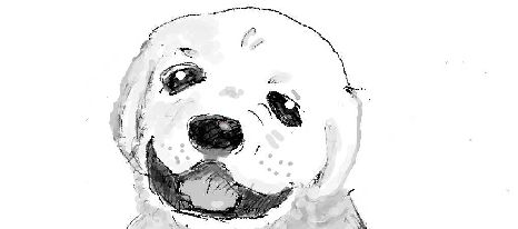 inu1
