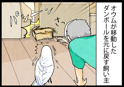 2017mk_0822