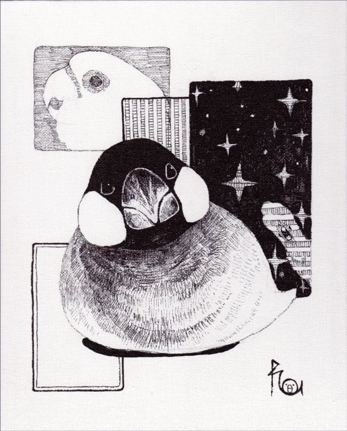 もふり文鳥