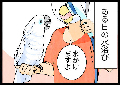 2017_082jk4