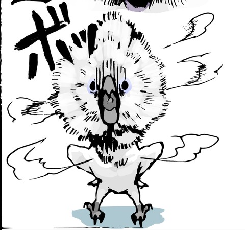 09