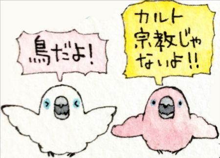 宣伝01
