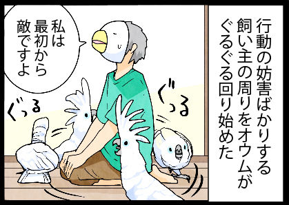 2017mk_082k2