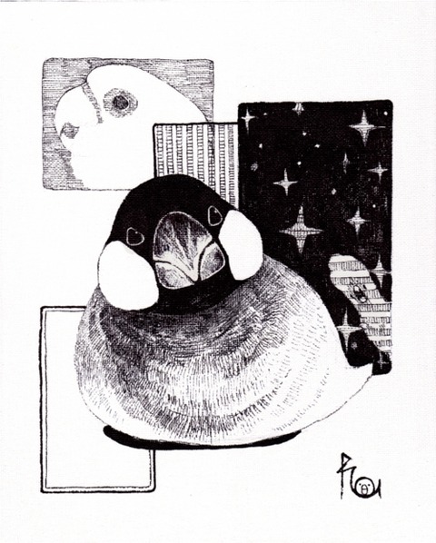 もふり文鳥5