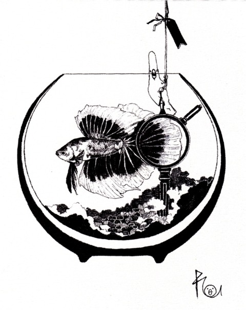ベタ02
