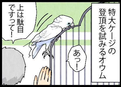 2017_05j10