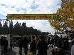 IMG_0403
