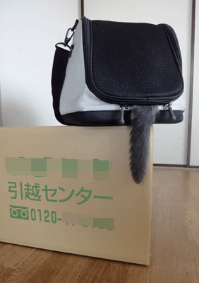 転居