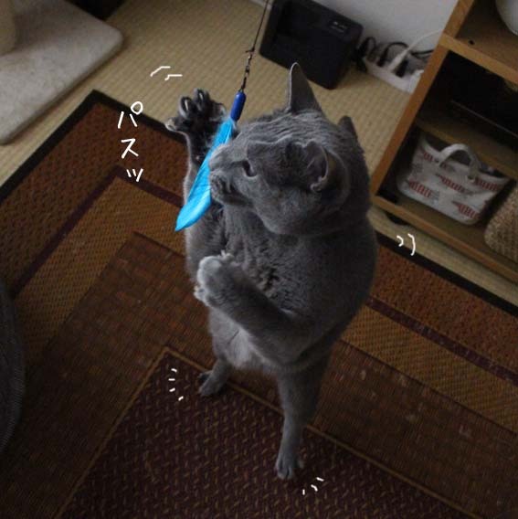 むーたん3