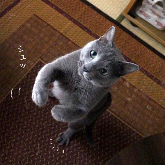 むーたん2