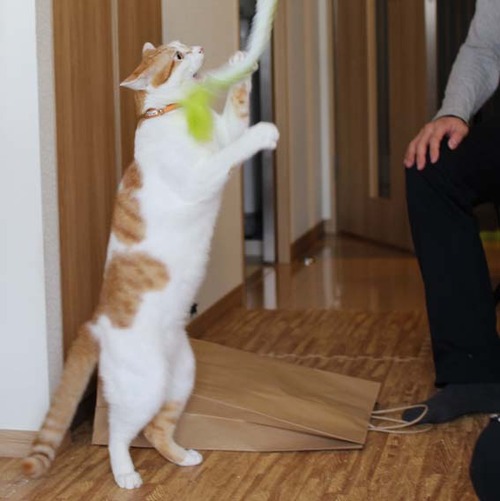 07