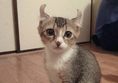 続・いっくんの “それゆけ 一球入魂 ”-うぶ