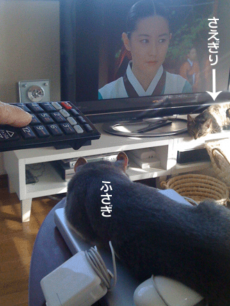 続・いっくんの “それゆけ 一球入魂 ”-TV&PC