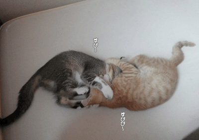 続・いっくんの “それゆけ 一球入魂 ”-ちょうど1