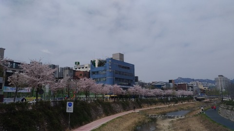 P_20180407_120216_vHDR_Auto