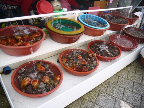 P1050161