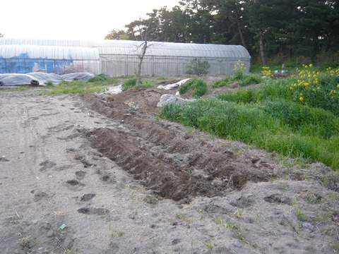 P1070003