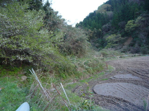 P1060950