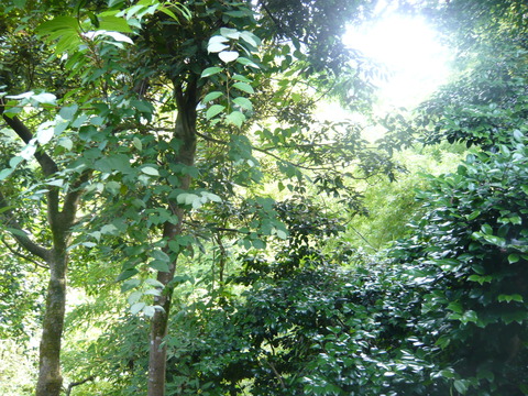 P1080200