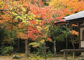 高山寺