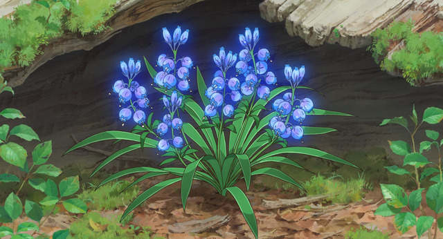 魔女の花