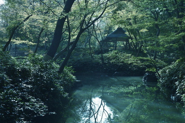 六義園_サイズ変更