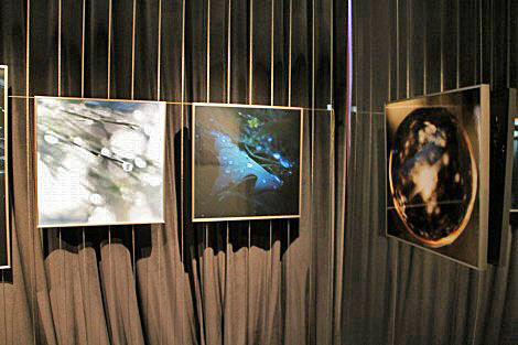 GXRがとらえた神秘の森！伊藤之一写真展「隠れ里へ the invisible