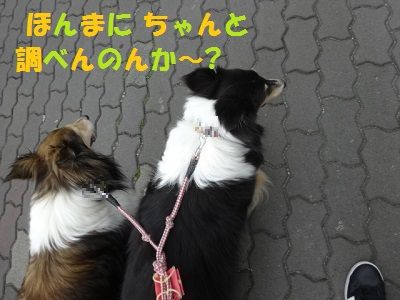 DSC02608
