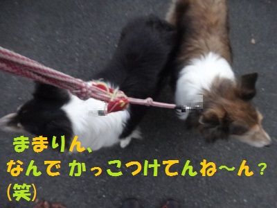DSC07463