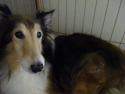 DSC00276