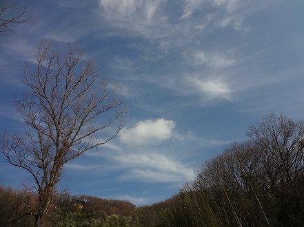 しゅせDSC08204